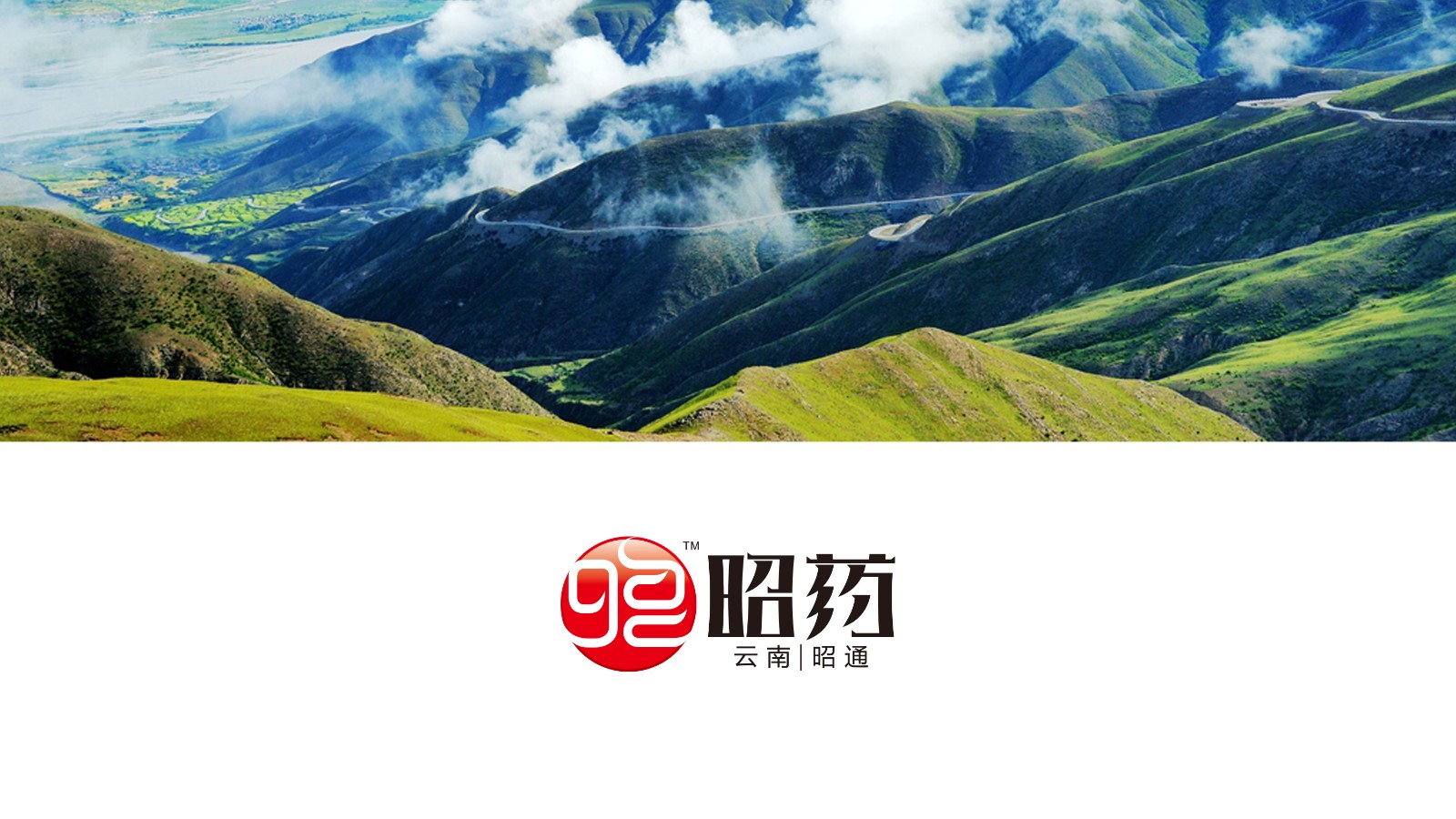 云南昭通制藥 云南昭通制藥