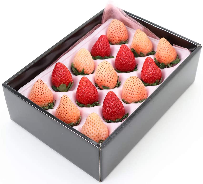 1606787721551830.jpg 1606787721551830.jpg