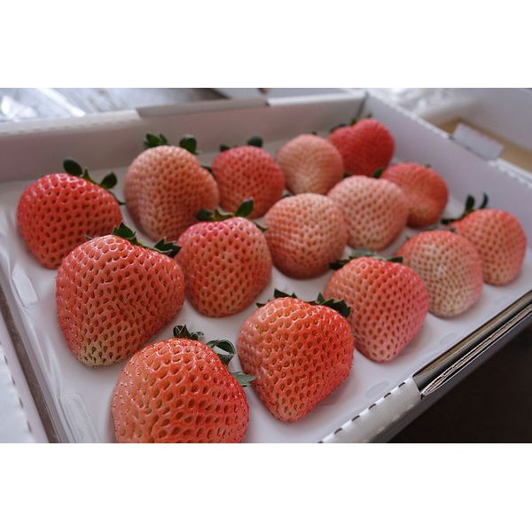 1606787724507695.jpg 1606787724507695.jpg