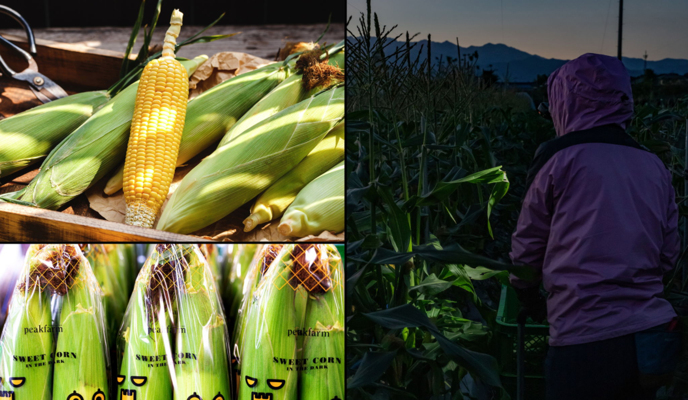 1622440393431338.png image.png