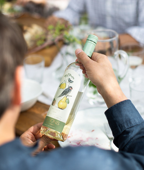 果酒包裝設(shè)計(jì) 果酒包裝設(shè)計(jì)