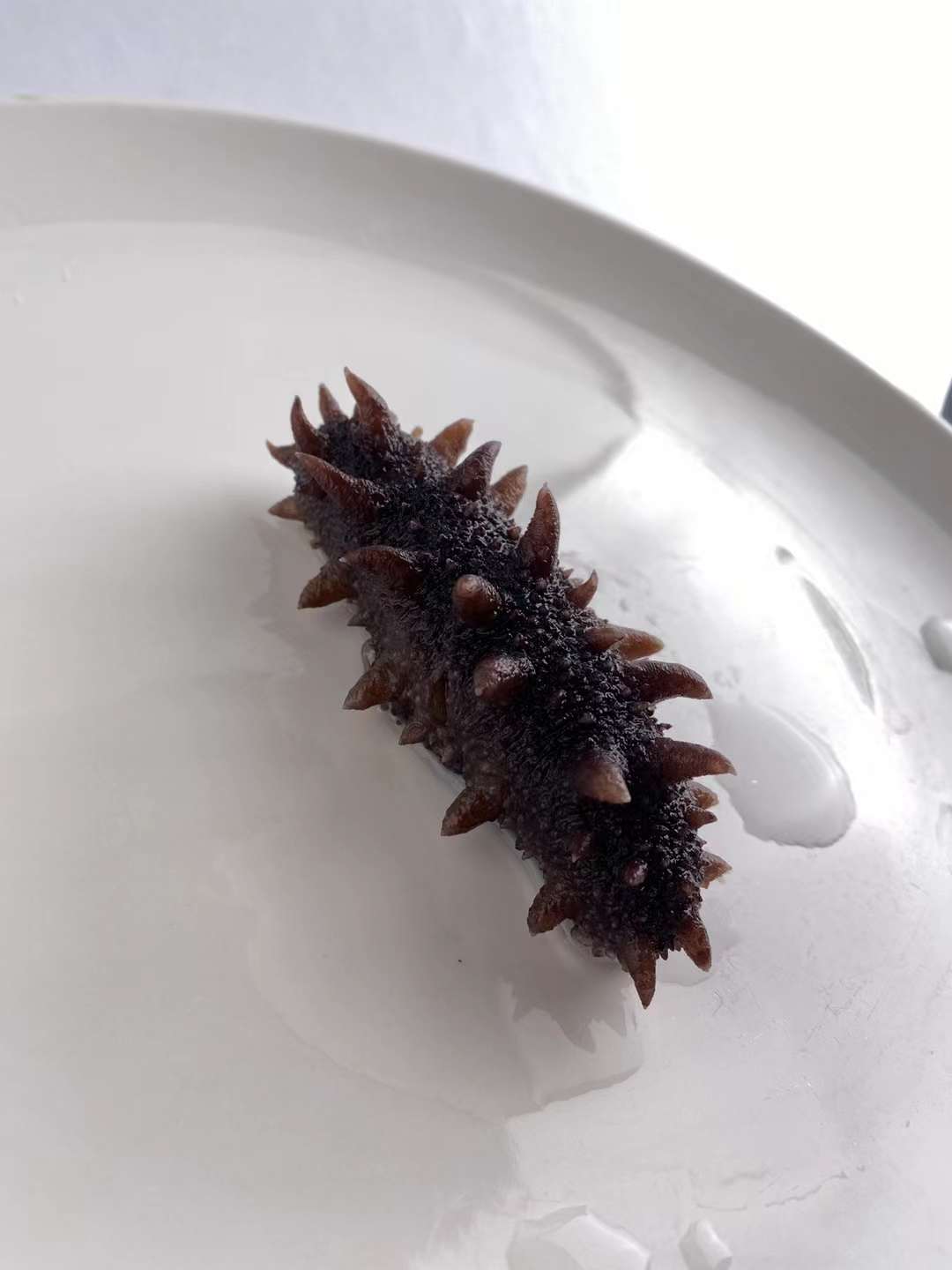 海參包裝設計切入點都有哪些