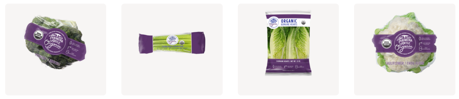 1730249940630114.png image.png