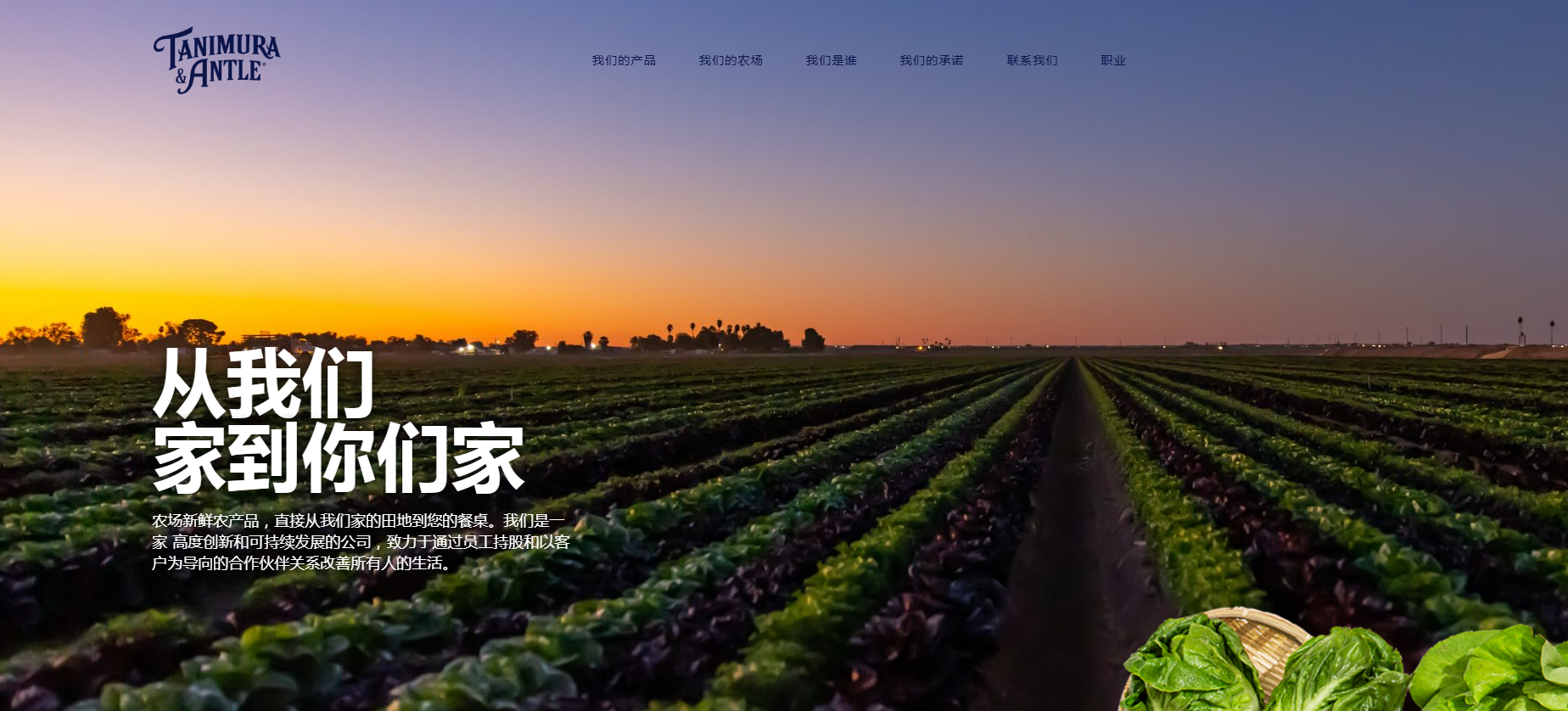 1730250341804792.png image.png