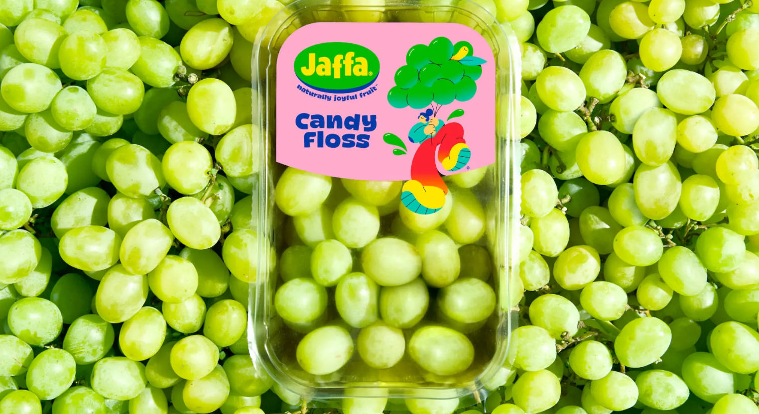 水果包裝設(shè)計 水果包裝設(shè)計