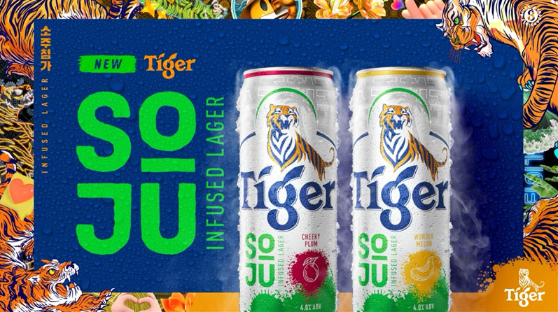 虎啤包裝設(shè)計(jì) 虎啤包裝設(shè)計(jì)